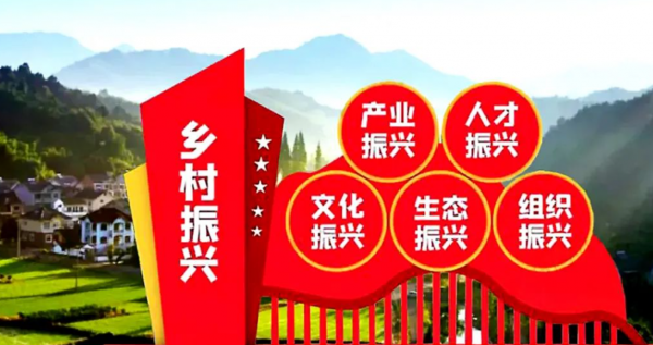 2024年一号文件发布农村宅基地调整政策细节一览农民尽早了解(图6)